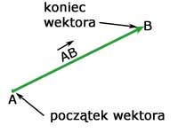 Wektor